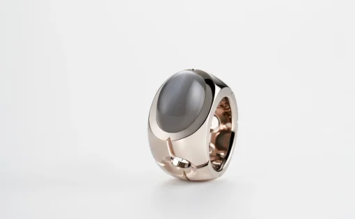 Anillo Col. 101