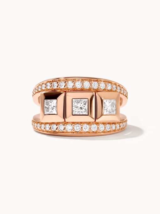 Anillo Curriculum Vitae 3
