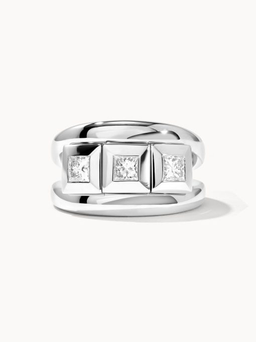 Anillo Curriculum Vitae 3